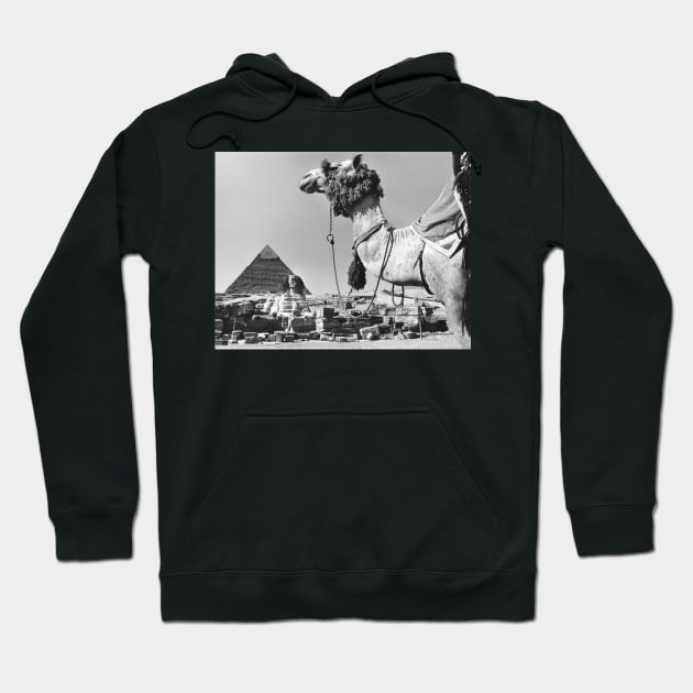 Camel Sphinx and Pyramid Hoodie by In Memory of Jerry Frank